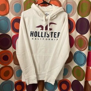 Hollister Mens Size M Hoodie
